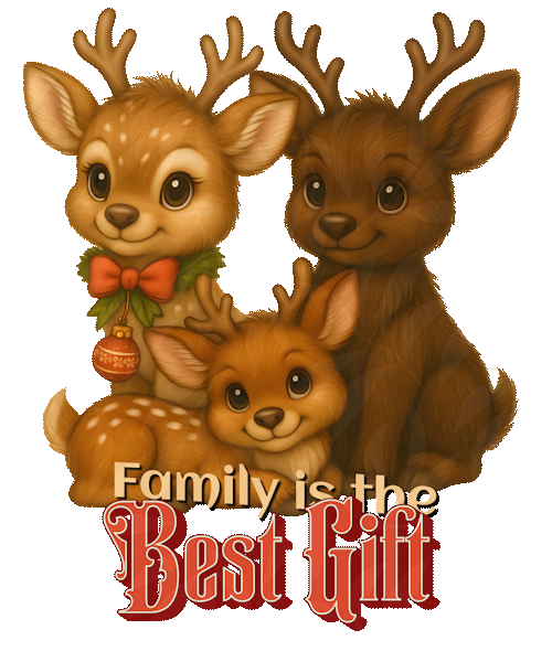 “Family is the Best Gift” Matching T-Shirts – Celebrate Together This Christmas