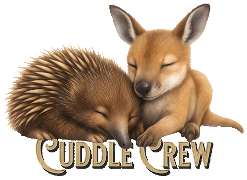 Meet the Cuddle Crew – Where Aussie Hugs Begin